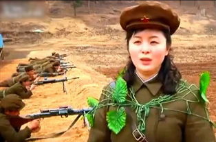 揭朝鲜军队雷人伪装 看着蛋疼图片